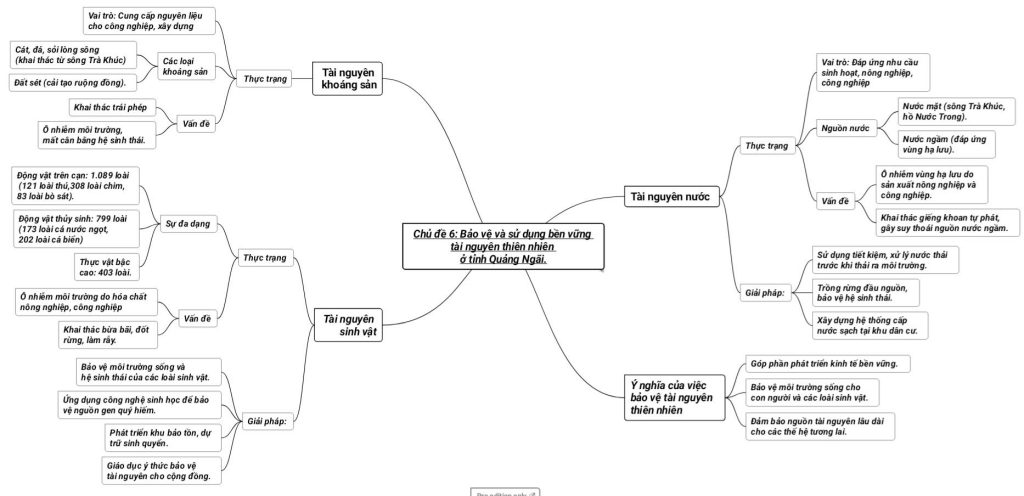 Chủ đề 6 (GDĐP10): Bảo vệ và sử dụng bền vững tài nguyên thiên nhiên (Khoáng sản, nước, sinh vật) ở tỉnh Quảng Ngãi SO DO TU DUY 10 CD6
