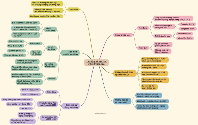 SO do tu duy LAO DONG VA VIEC LAM O TINH QUANG NGAI